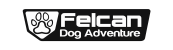 Logo Felcan